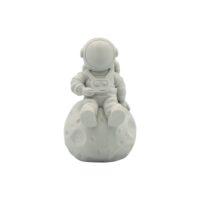 Filamento 3D PLA - Diametro 1.75mm - Bobina 2.5kg - Color Gris